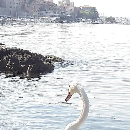 Appartamento Apartman Manuella Šibenik